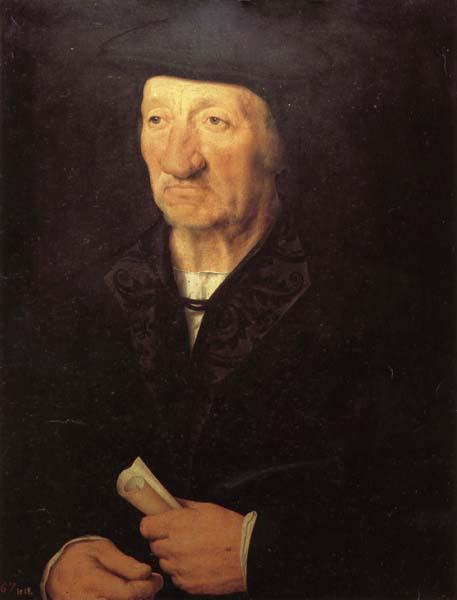 Hans holbein the younger Portrait of an Old Man oil painting image